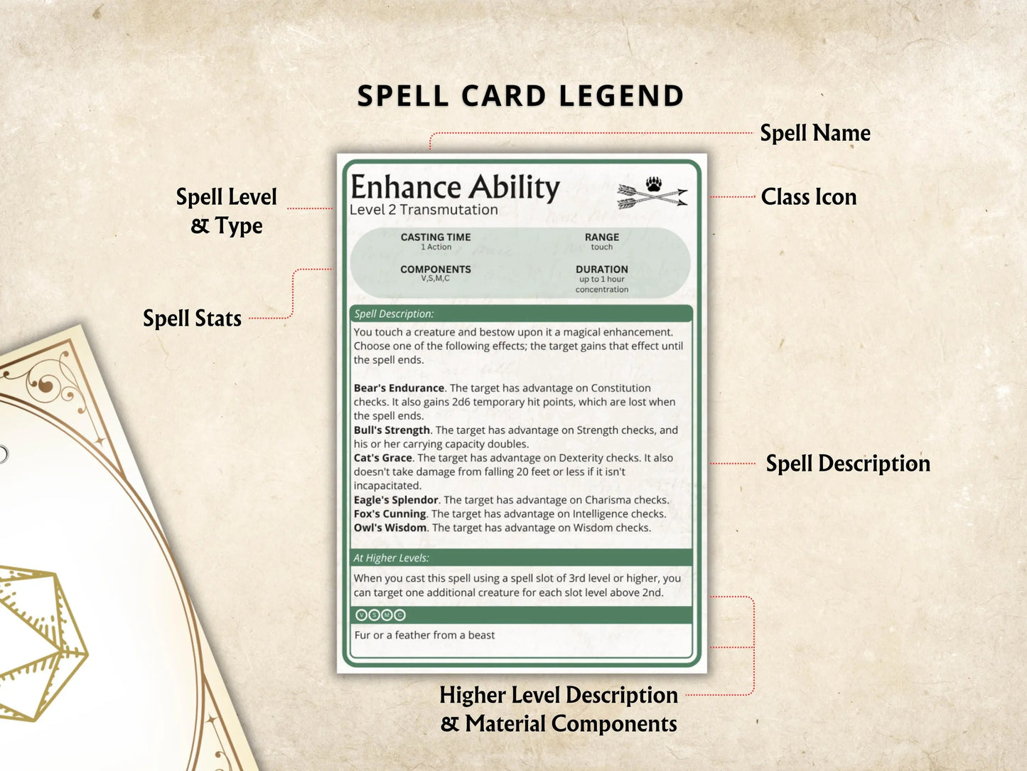 Ranger DnD Spell Cards 5e 2014 FeyWorks.co.uk