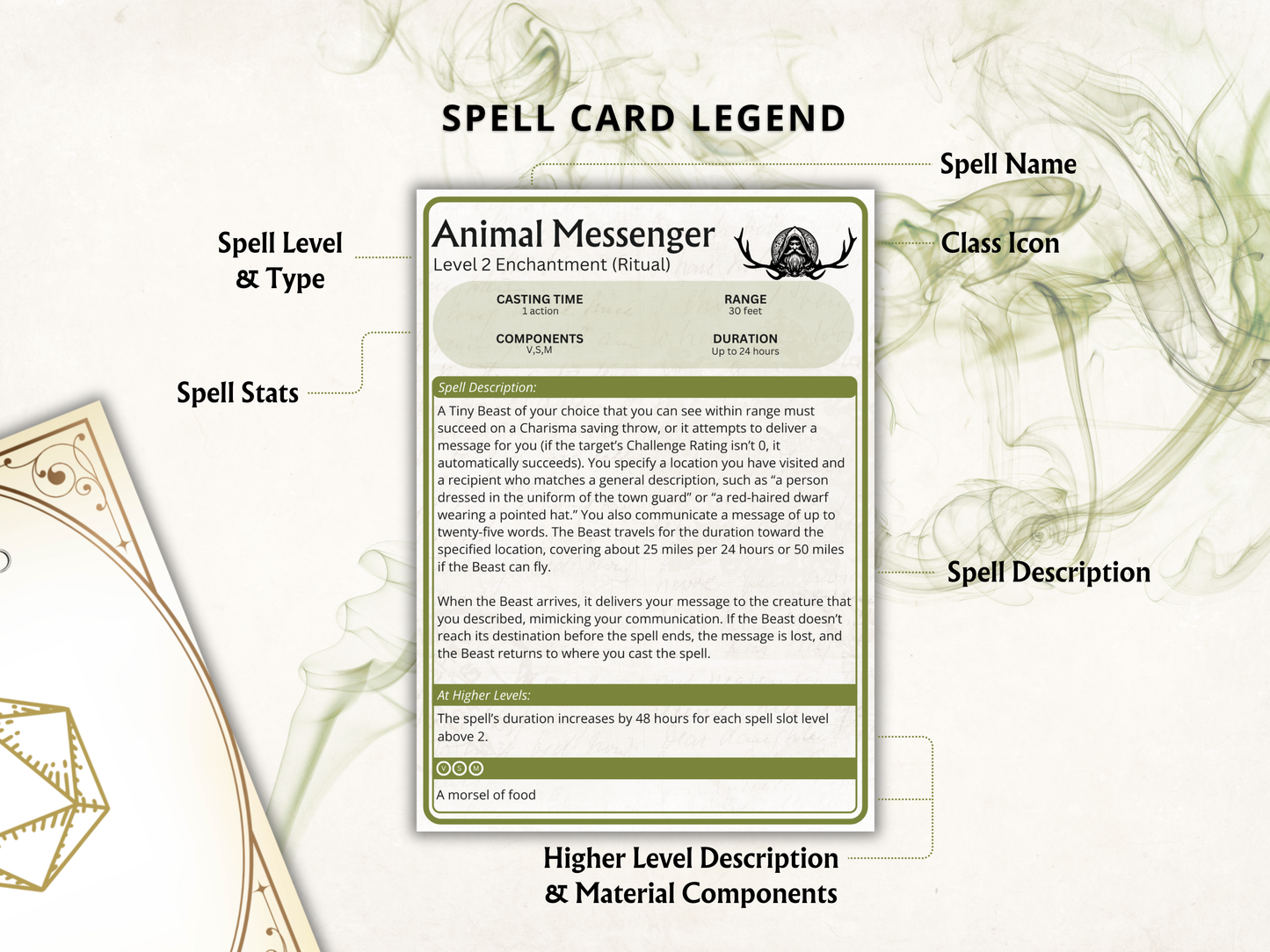 Druid DnD Spell Cards 2024