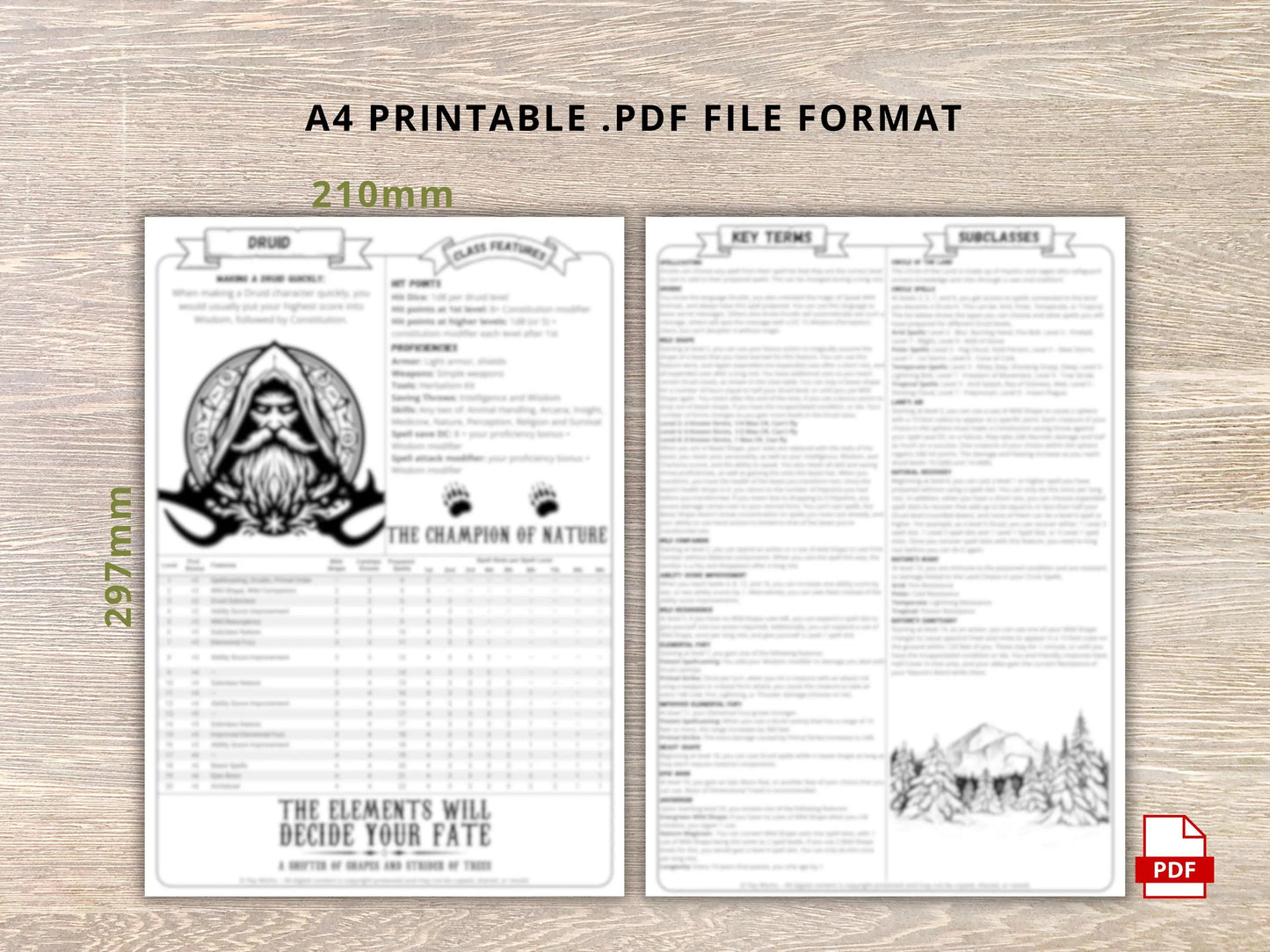 Druid 5.5 2024 Reference Guide - Cheat Sheet FeyWorks.co.uk