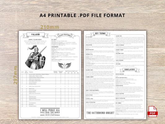 Paladin 5.5 2024 Reference Guide - Cheat Sheet FeyWorks.co.uk