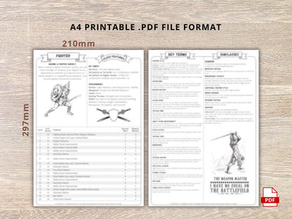 Fighter 5.5 2024 Reference Guide - Cheat Sheet FeyWorks.co.uk