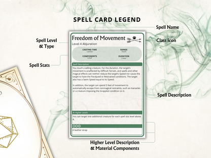 Ranger DnD Spell Cards 2024