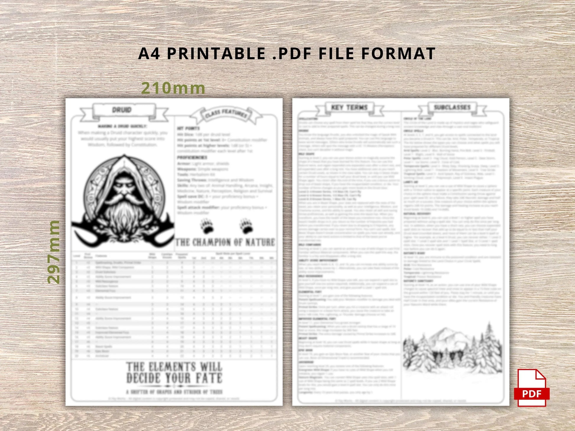 Druid 5.5 2024 Reference Guide - Cheat Sheet FeyWorks.co.uk