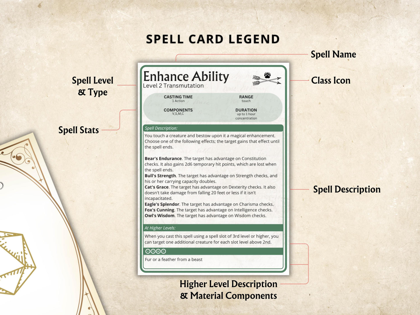 Ranger Spell Cards 5e - Dungeons and Dragons (Digital Download)