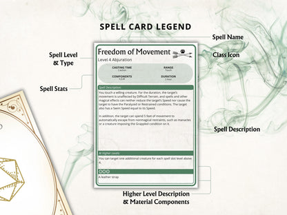 Ranger Spell Cards 5e: D&D Spell Book (Digital Download, 2024 Ruleset)